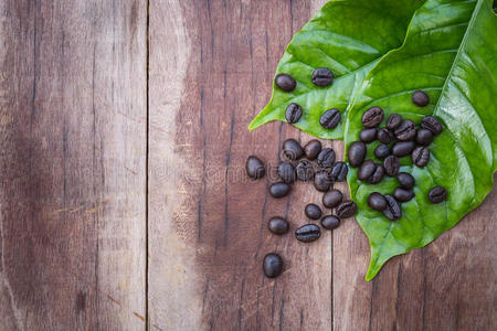 木制背景上的绿色咖啡树叶和豆子