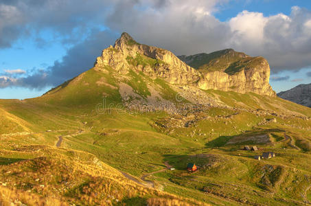 花的 植物 旅行 草地 公园 风景 土地 自然 季节 生态学