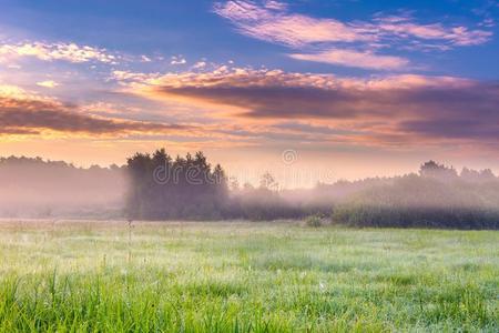 颜色 自然 早晨 美丽的 国家 气氛 领域 草地 环境 黄昏