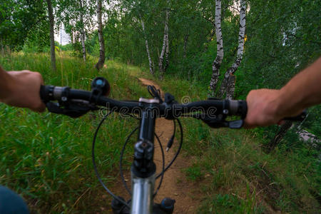 自行车 行动 国家 森林 周期 追踪 模糊 闲暇 乐趣 极端