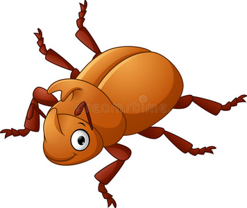 尖角甲虫