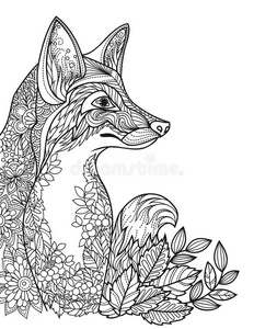 卷曲 绘画 分项 林业 狐狸 着色 轮廓 哺乳动物 动物群