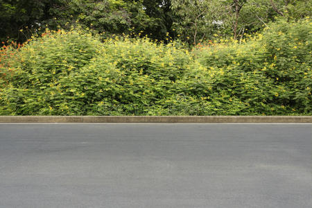 草坪路边图片-草坪路边素材-草坪路边插画-摄图新视界