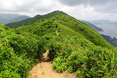 在香港附近的龙背小径上，绿色的热带山脉和徒步旅行路线