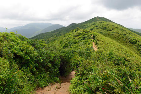 在香港附近的龙背小径上，绿色的热带山脉和徒步旅行路线