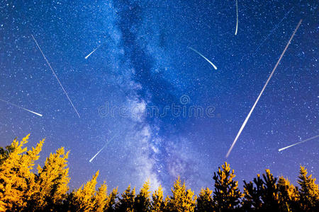 落星松树银河照片