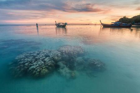 珊瑚 泰国 里皮 自然 风景 泰语 夏天 天空 亚洲 海滩