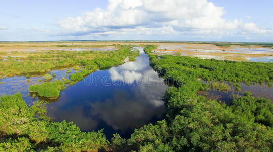 大沼泽地沼泽图片