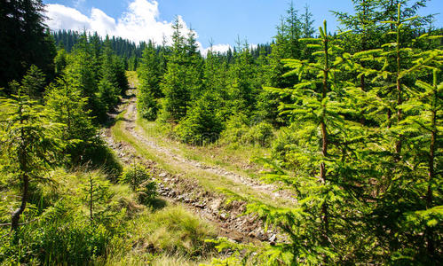 风景 山谷 美女 公园 环境 旅行 自然 徒步旅行 追踪