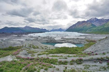 冰川 公园 自然 阿拉斯加 娱乐 锚地 寒冷的 气候 格伦