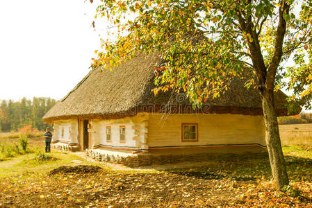 古董 复古的 夏天 屋顶 国家 外观 小屋 乌克兰语 建筑