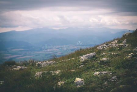 小山 夏天 木条 全景图 股票 风景 欧洲 岩石 自然 特兰克