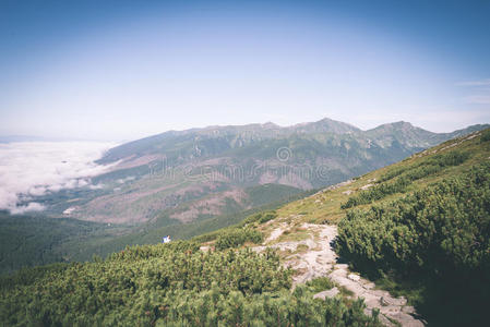 岩石 假期 全景图 旅游业 欧洲 小山 风景 斯洛伐克 自然