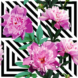 牡丹 花园 时尚 花瓣 框架 自然 花的 开花 邀请 卡片