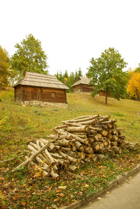 小屋 自然 藤条 乌克兰语 复古的 外部 外观 茅草 国家