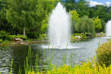 人行道 池塘 植物 喷泉 美丽的 季节 风景 通路 建筑学