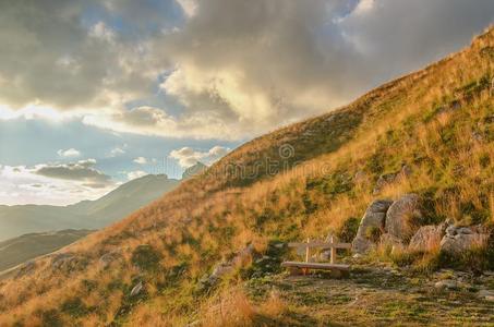 自由 郁郁葱葱 花的 美丽的 生态学 黑山 自然 颜色 天空