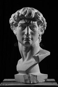 大卫头米开朗基罗大卫的石膏头照片