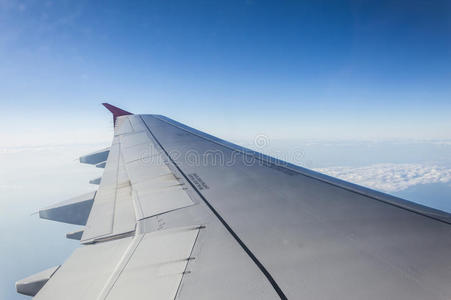 飞机 天空 窗口 旅行 旅游业 空气 运输 假期 航空公司