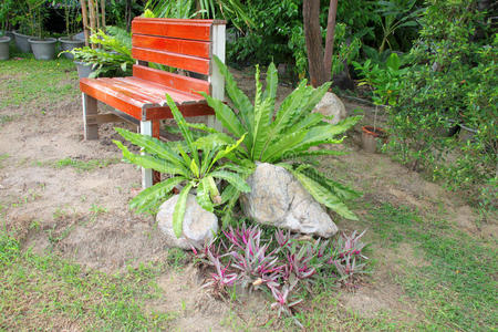 植物盆栽和木椅中的蕨类植物