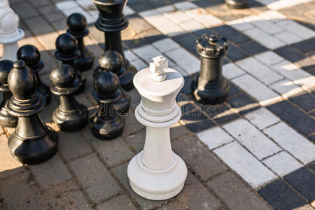 骑士 检查 主教 冲突 竞争 移动 战斗 游戏 城堡 国际象棋