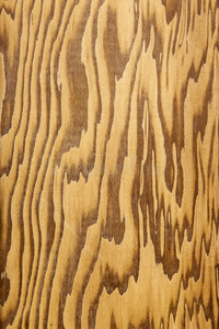 模式 松木 变异 木材 颜色 粮食 米色 纹理