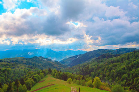 美丽的 风景 瓦尔 颜色 乡村 森林 领域 苏格兰 夏天