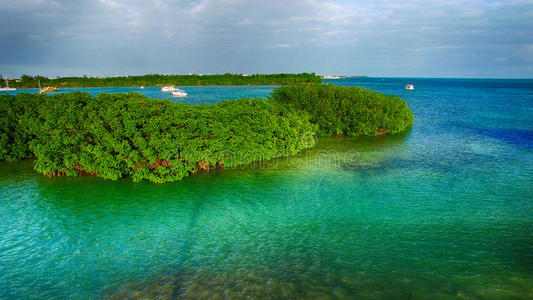 美国佛罗里达州基韦斯特红树林和海洋鸟瞰图照片