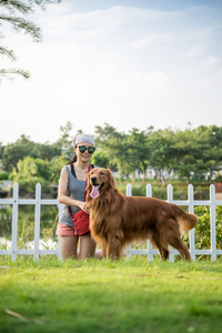 女孩和金色猎犬