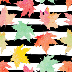 要素 十月 森林 自然 花的 秋天 植物 落下 十一月 颜色