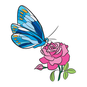 玫瑰花斑点蓝色蝴蝶,黄色斑点翅膀,粉红色玫瑰花和绿叶照片