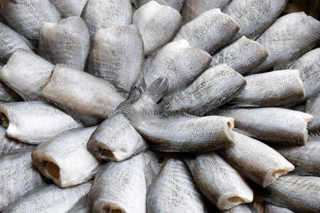 鱼食蛇皮，古拉米鱼在外面干燥