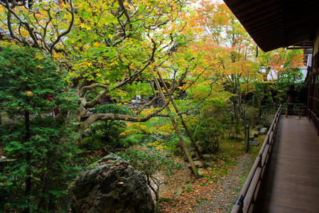 京都伊坎多神庙花园