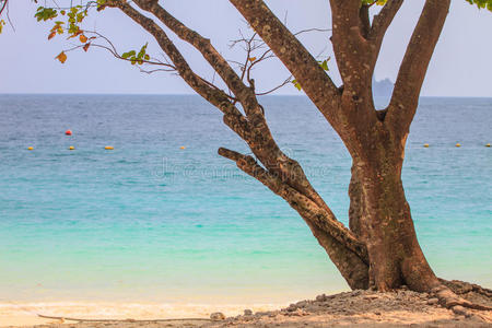 岩石 海景 泰国 搁浅 海滨 娱乐 美丽的 悬崖 珊瑚 克拉比