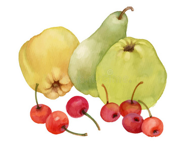 饮食 葡萄 香蕉 甜点 水果 樱桃 健康 绘画 插图 艺术