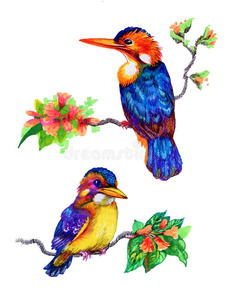 鲜艳的鸟在树枝上用花墨手画插图。