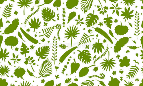 夏威夷 纸张 插图 树叶 织物 木槿 植物区系 分支 重新