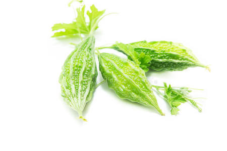 白色背景上的苦葫芦照片