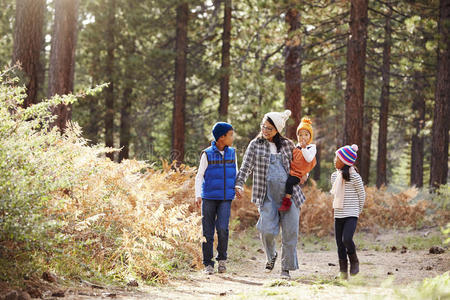亚洲母亲带着三个孩子在森林里散步
