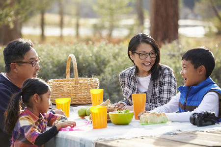 亚洲家庭在野餐桌上互相看着