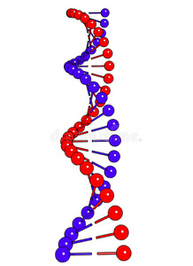 白色背景矢量图像上的DNA分子