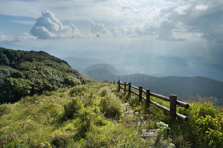 风景 斜坡 走道 自然 公园 高的 通路 旅行 环境 森林