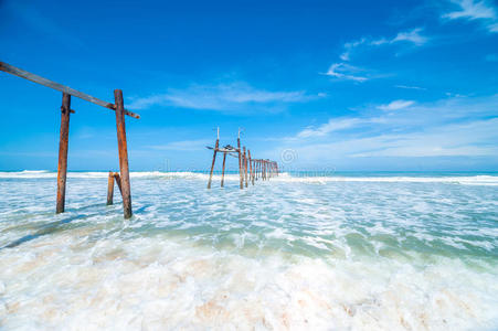 天堂 码头 海岸 场景 夏天 假日 风景 长的 地平线 自然