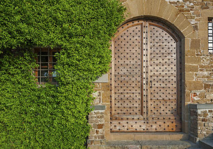 佛罗伦萨 出口 建筑学 意大利 古董 大门 入口 植物 花园