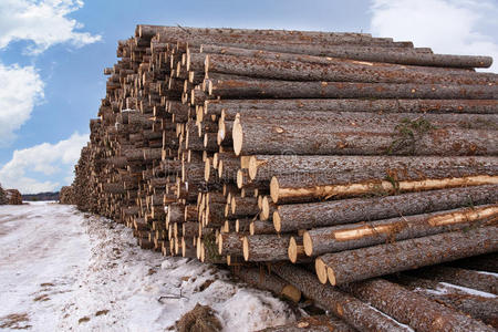 行业 行动 木材 加载 建设 自然 制造业 材料 能量 燃料