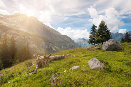 美丽的风景在瑞士阿尔卑斯山，欧洲o