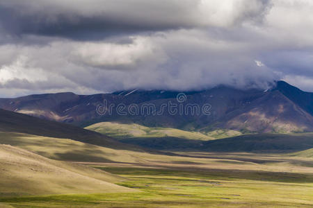 森林 环境 草地 小山 自然 徒步旅行 公司 美女 场景