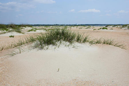 太阳 旅行 环境 海滩 夏天 美丽的 沿海 全景图 海景