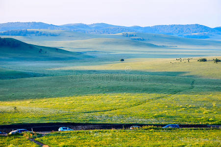 早晨 领域 忽略 亚洲 生物 大草原 美丽的 瓷器 蒙古