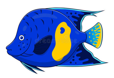 卡通天使鱼照片